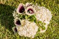 _DSC0043