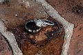_DSC0057